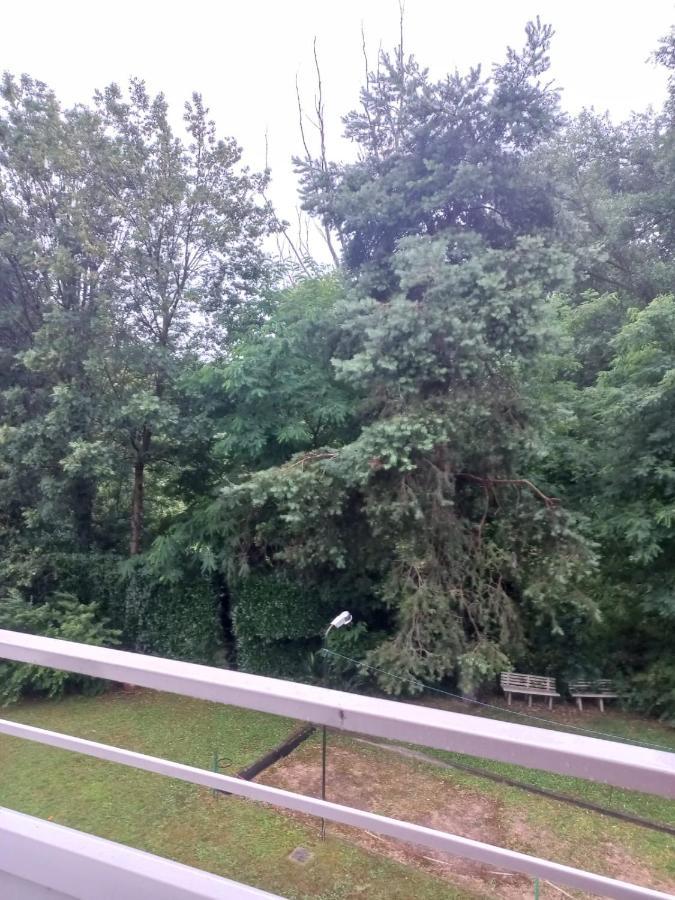 Lake Maggiore 2 Minutes Apartment Dormelletto Bagian luar foto