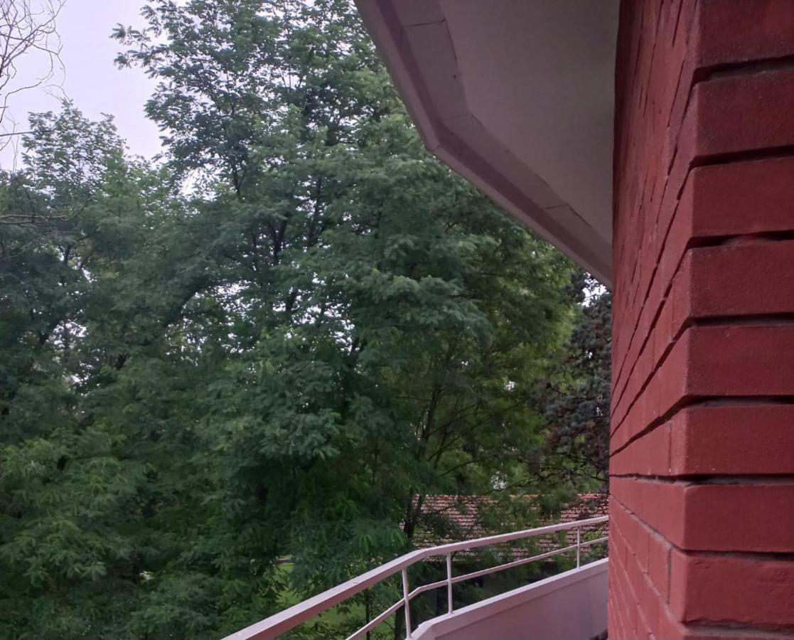 Lake Maggiore 2 Minutes Apartment Dormelletto Bagian luar foto